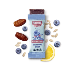 Skout Organic Blueberry Blast Real Kids Snack Bars | Organic Kids Snack Bars | Plant-Based Nutrition, No Added Sugar | Vegan | Gluten, Dairy, Grain, Peanut, Tree Nut & Soy Free, 6 Pack
