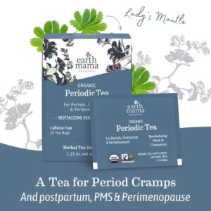Earth Mama - Organic Periodic Tea (16 Teabags)